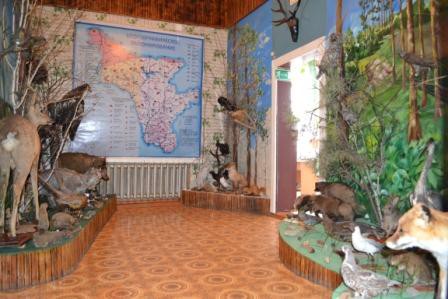 Зал природы